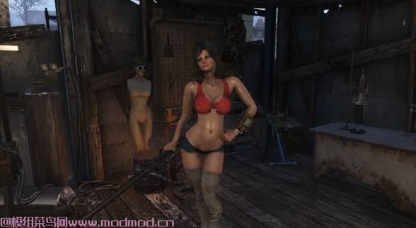 辐射4Mandy- Custom同伴MOD网盘免费下载