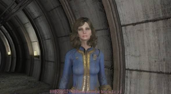 辐射4Mandy- Custom同伴MOD网盘免费下载