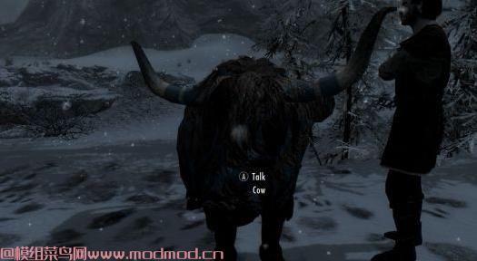 石头到雪 - 雪岩