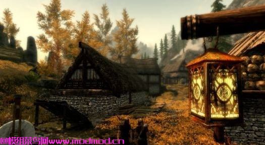 漂亮的灯笼替代品