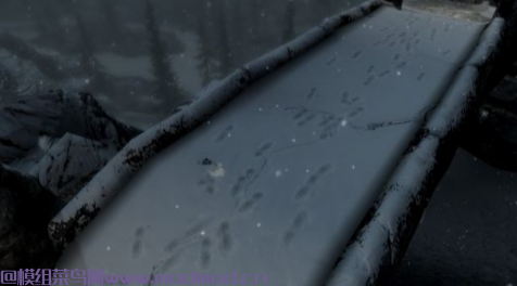 石头到雪 - 雪岩