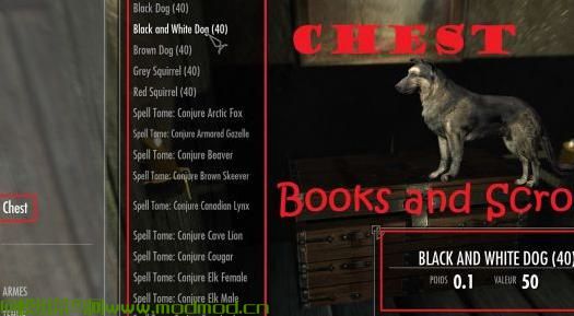 森林湖泊之家，有坐骑和随从，非常丰富的内容！