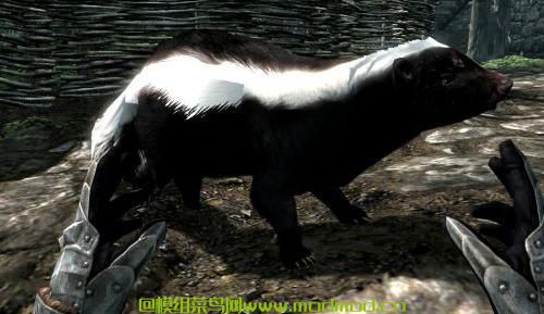 森林湖泊之家，有坐骑和随从，非常丰富的内容！