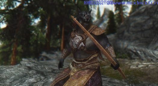 SOS健美运动员服装