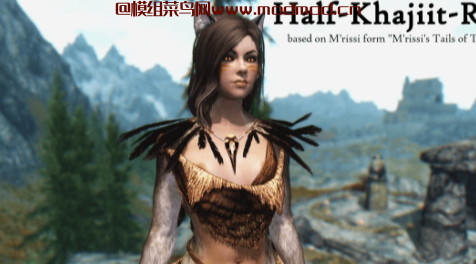 上古卷轴5天际Half-Khajiit-Race猫娘CBBE随从MOD网盘免费下载