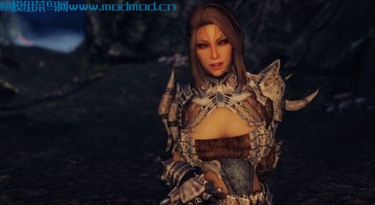 High Elf QUEENS Follower  高精灵QUEENS随从 UUNP版本+CBBE版本