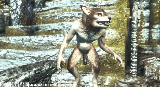 上古卷轴5天际Werewolf Puppy (ders Resource)   狼人小狗MOD网盘免费下载
