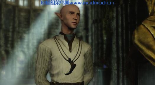 龙腾世纪的随从