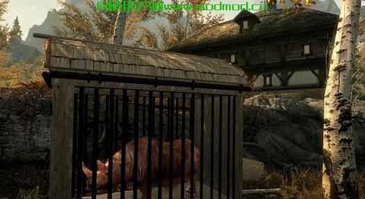 The House of the Savage Animals 野人动物之家~ 喜欢的动物的不要错过
