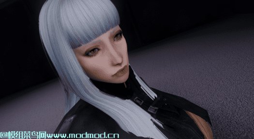 Selvaria Bles (Valkyria Chronicles) - Jinxxed 随从