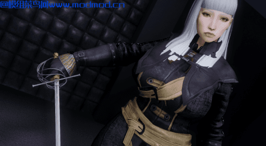 Selvaria Bles (Valkyria Chronicles) - Jinxxed 随从