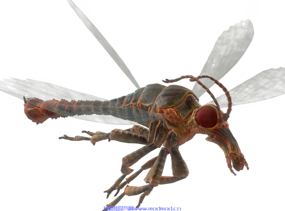 危险的Stingwings