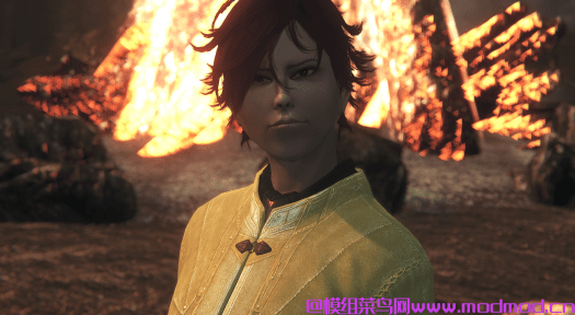 AKIRA Followers
