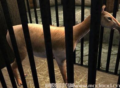 The House of the Savage Animals 野人动物之家~ 喜欢的动物的不要错过