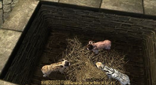 The House of the Savage Animals 野人动物之家~ 喜欢的动物的不要错过