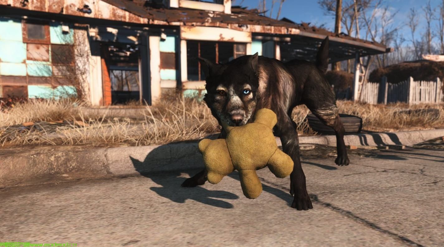 经典的Dogmeat