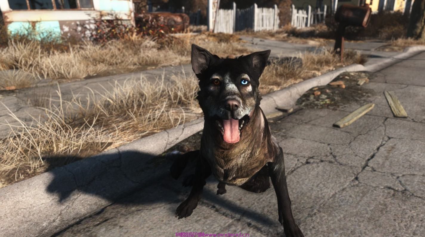辐射4经典的贴图和纹理（Dogmeat）MOD 网盘免费下载
