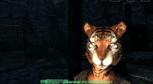 This one feel like a Tiger-khajiit replacer 虎 - khajiit替代品