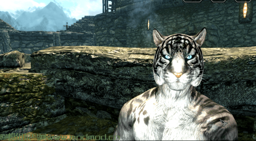 上古卷轴5天际卡吉特替虎（This one feel like a Tiger-khajiit replacer）MOD网盘免费下载