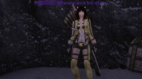 Sinon Outfit UUNP  盔甲