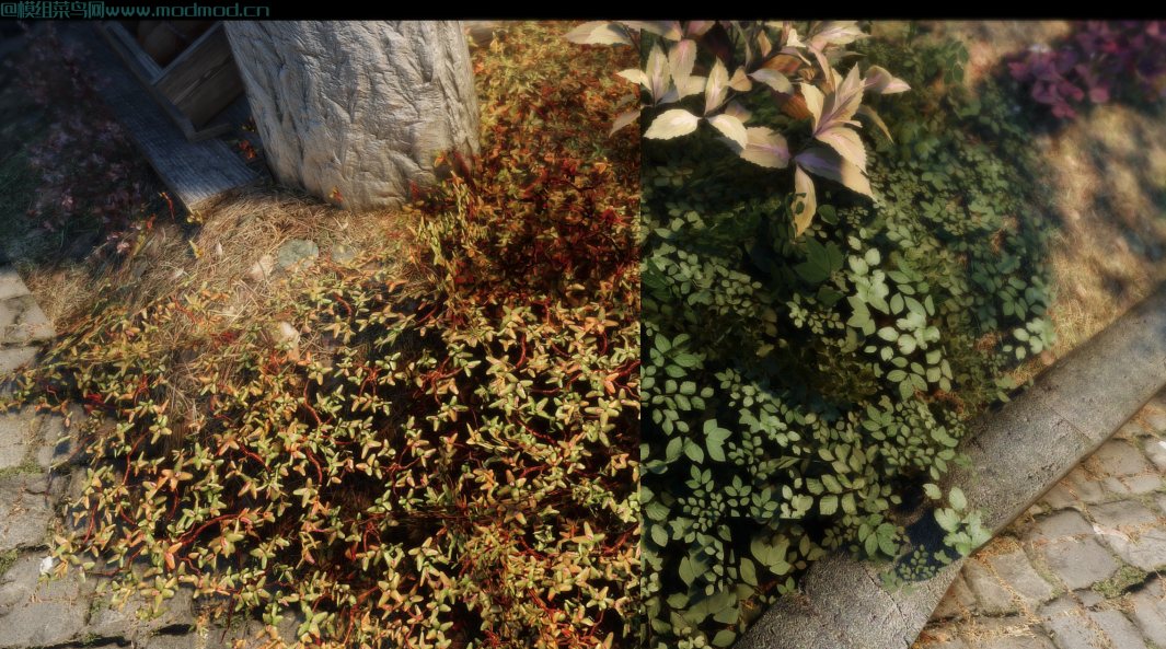不那么丑陋的苔原草